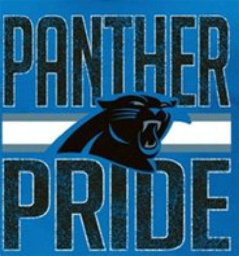 The Panther Mascot: A Bridge between Cedar Falls Students and Alumni